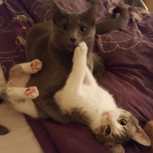 Meet your Posher, Vanessa